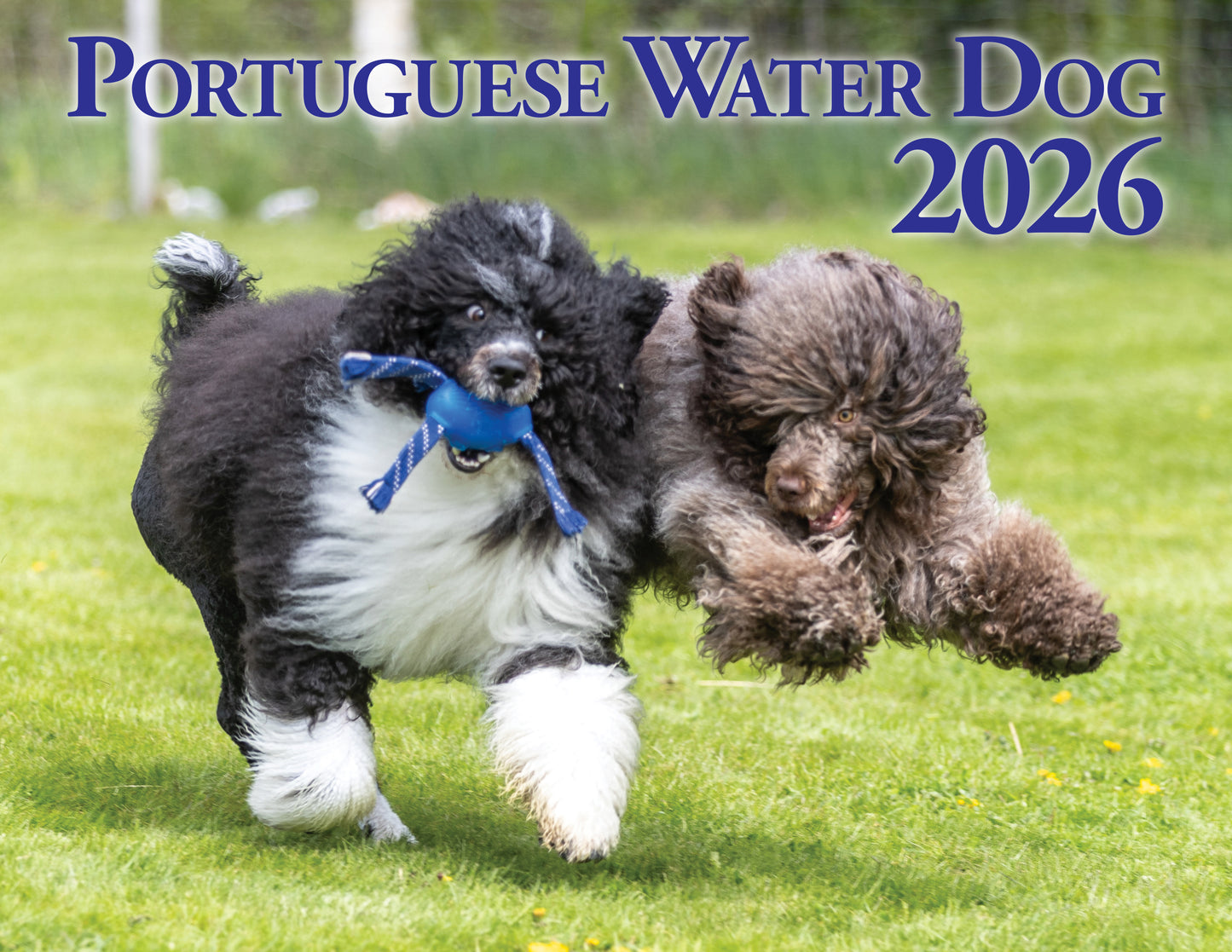PWD Calendar - 2026