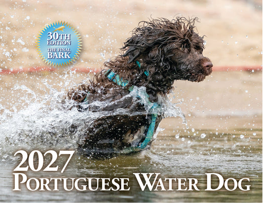 PWD Calendar - 2027